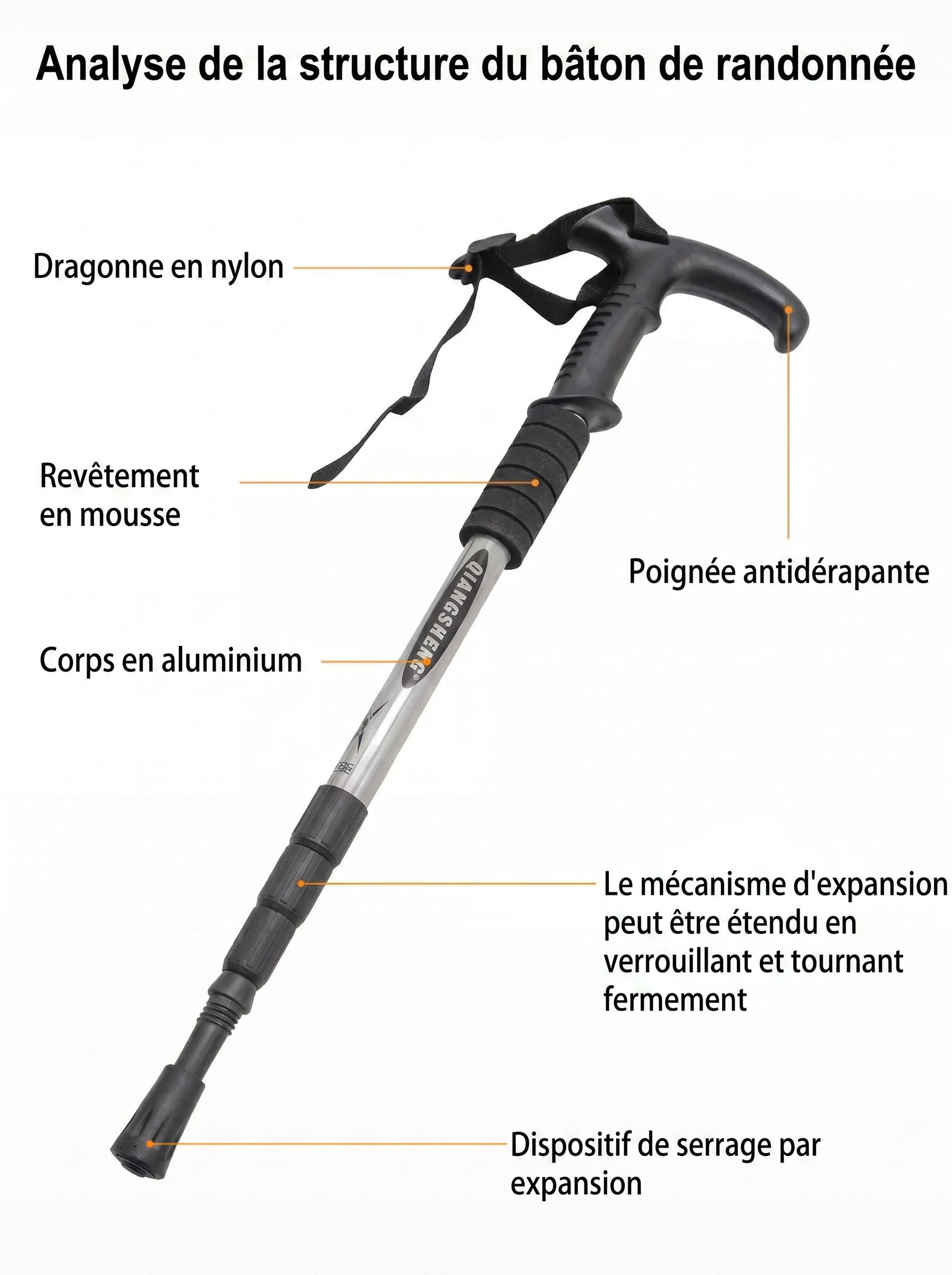 Bâtons de randonnée télescopiques – rondelles neige et terre incluses – polyvalents